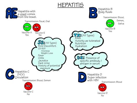 Nursing Mnemonics: Hepatitis - StudyPK