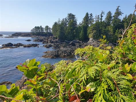 Pacific Rim National Park Reserve - West Coast Trail Unit