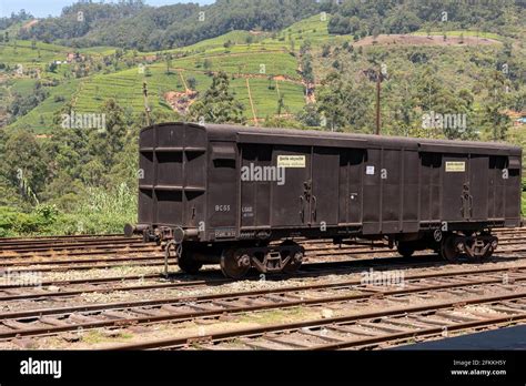 Nuwara Eliya tea fields of Sri Lanka Stock Photo - Alamy