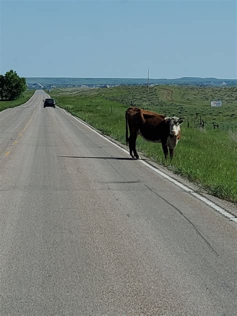 Needles Highway - The Adventures of Sutton's Travel