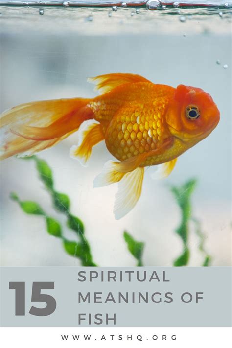 Fish Symbolism: 15 Spiritual Meanings Of Fish