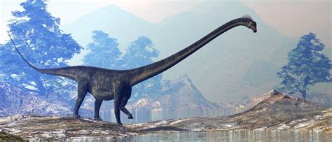 Top 10 World’s Largest Dinosaurs Ever - AZ Animals