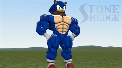 Buff Boom Sonic Is Here by StoneHedgeArt on DeviantArt