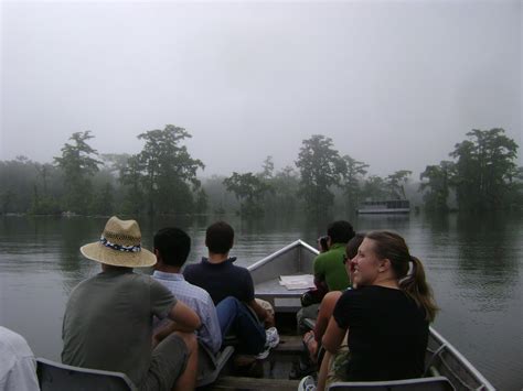 My Wild Louisiana: Accomodations On The Atchafalaya River