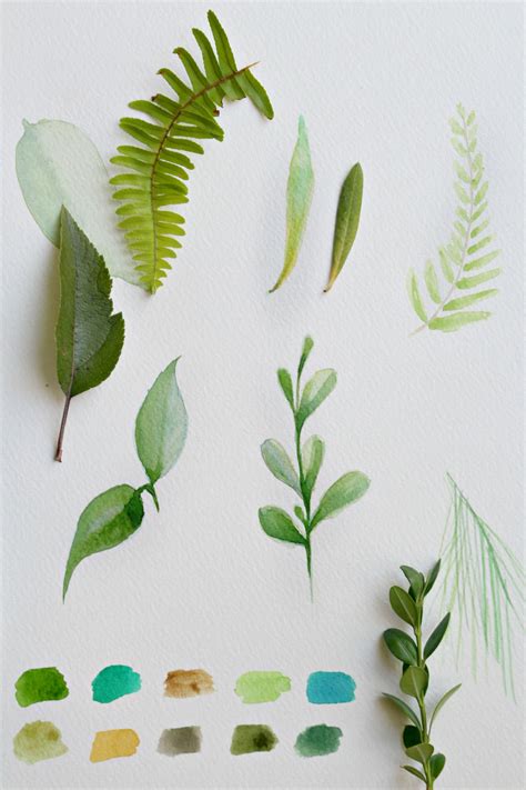 How to Paint a Basic Leaf with Watercolors | eHow | Basic watercolor ...