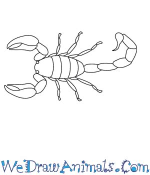 Scorpion Drawing Easy : How To Draw A Scorpion | Bodemawasuma