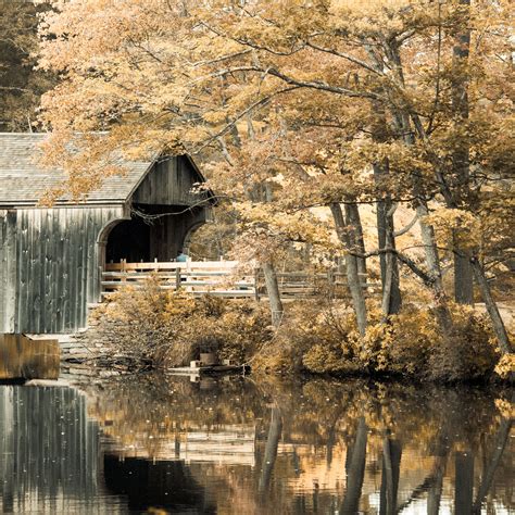 Covered Bridge In Fall Free Stock Photo - Public Domain Pictures