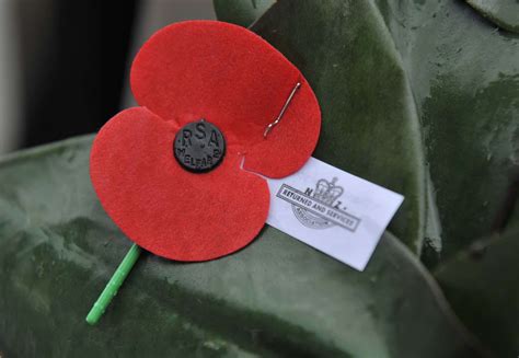 A Traveller’s Guide: What is Anzac Day? – Stray's New Zealand Travel Blog