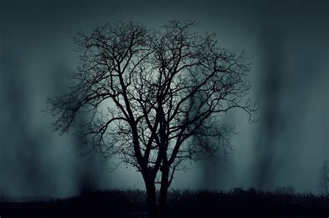 7,000+ Free Spooky & Halloween Images - Pixabay