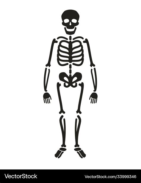 Full length skeleton silhouette halloween symbol Vector Image