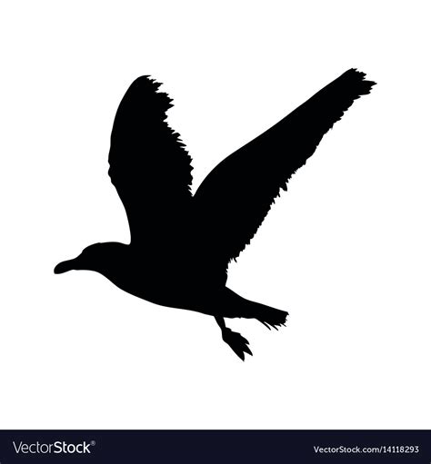 Seagull flying silhouette isolated on white Vector Image