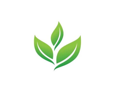 Green leaf logo vector | Leaf logo, Vector logo, Herbal logo