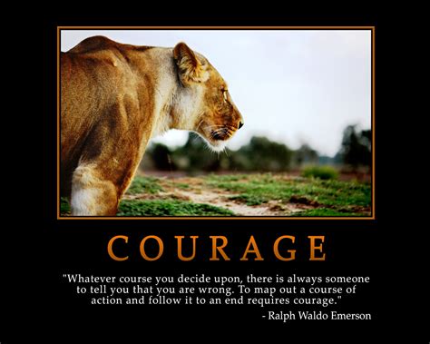 🔥 [76+] Courage Wallpapers | WallpaperSafari