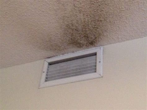 Air Duct Mold Removal, Air Duct Mold Remediation in Taylor Lake Village