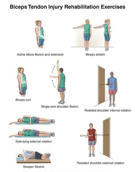 Bicep Stretches