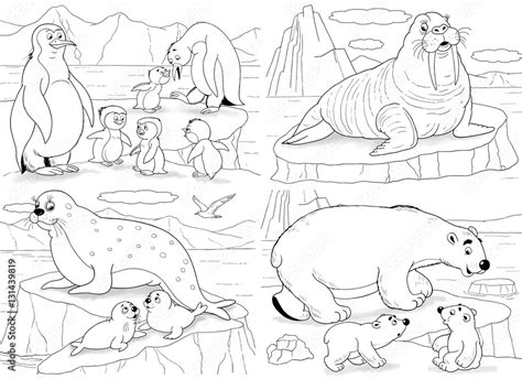 Printable Coloring Pages Of Arctic Animals