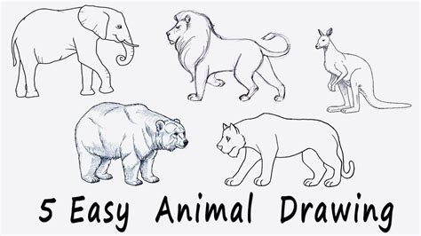 🟢 5 Easy Animal Drawing for Kids - YouTube