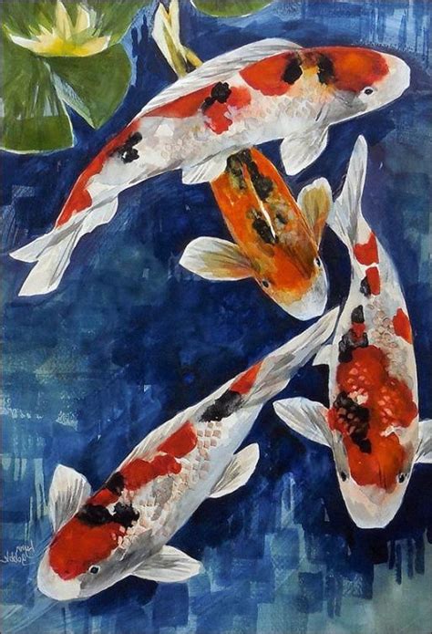 Koi Fish Information | Art, Japanese fish, Koi painting