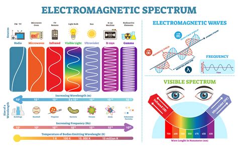 Electromagnetic Spectrum Chart Printable