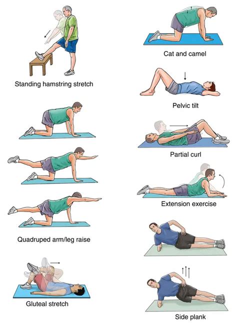 Exercises to relieve lower back pain right side