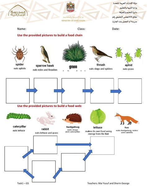 Food Chain and Food web- Task1 worksheet | Food chain worksheet, Food ...