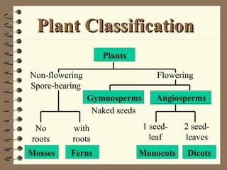 Classification of plants | PPT