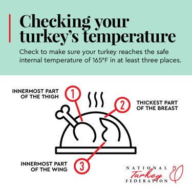 how to put thermometer in turkey thigh - DeKookGuide