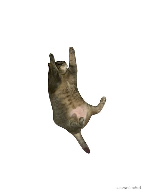 Póster «Flying fat cat meme pegatina» de acvunlimited | Redbubble