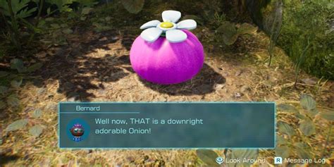 Pikmin 4: All Onion Locations (Every Pikmin Type)