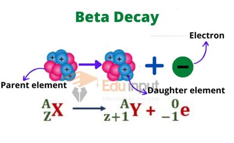 Beta Decay-Definition, Types, Application, And Limitations