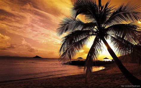 Beach Sunset - windows 10 HD wallpaper | Pxfuel