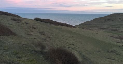 Seaford Head Nature Reserve | Marek's Moths