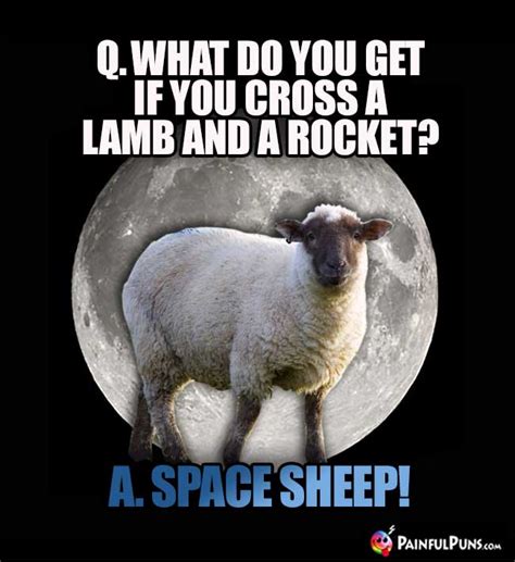 Sheep Jokes, Ewe Puns, Lamb Humor | PainfulPuns.com