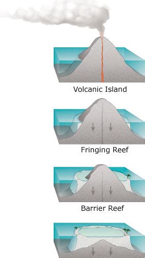 File:Atoll forming.jpg - Wikimedia Commons