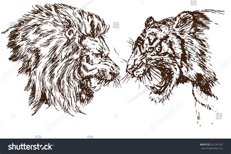 Lion Tiger Growling Opposite Each Other Stock Vector (Royalty Free ...