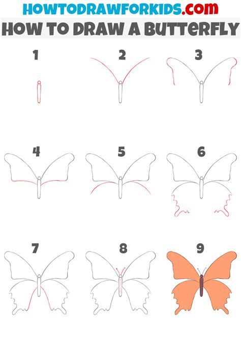 butterfly drawing easy step by step - Marylynn Colvin