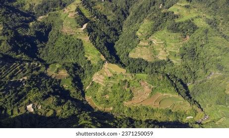 World Heritage Ifugao Rice Terraces Stock Photo 2371250059 | Shutterstock