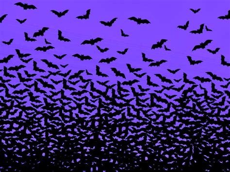 Halloween Bat Wallpapers - Wallpaper Cave