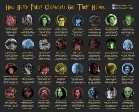 How Harry Potter Characters Got Their Names - Best Infographics