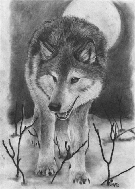 wolf pencil drawings Quotes