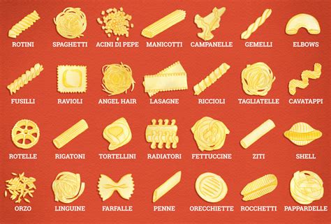 All of the Important Types of Pasta Noodles, Illustrated - Thrillist