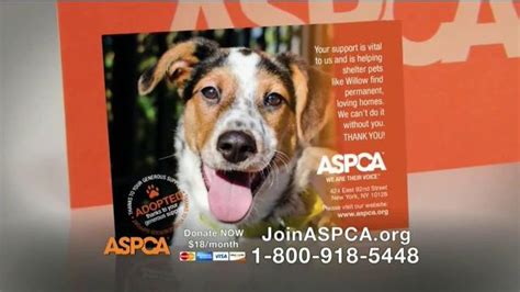 ASPCA TV Commercial, 'End Dog Fighting' - iSpot.tv