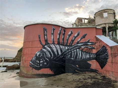 The Street Artist ROA Combines Art And Biology To Celebrate Puerto Rico ...