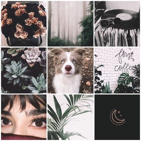 moodboard aesthetic | Adopt idea, Mood board design, Mood board inspiration