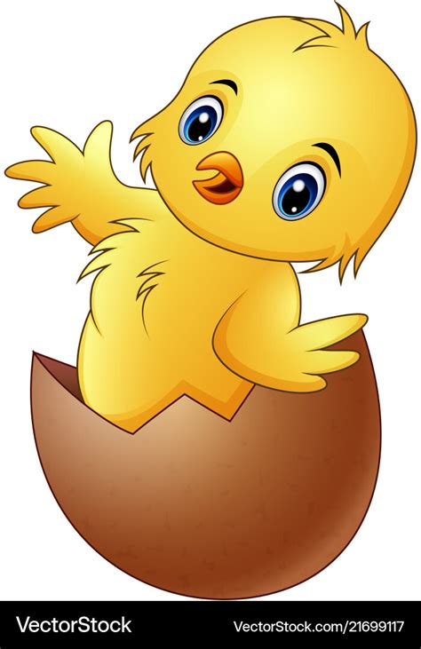 Cartoon little bachicken in broken egg shel Vector Image