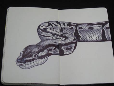 fish scales drawing - Google Search Snake Sketch, Snake Drawing, Snake ...