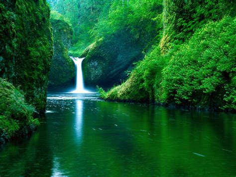 Green Nature Water Wallpapers - Top Free Green Nature Water Backgrounds ...