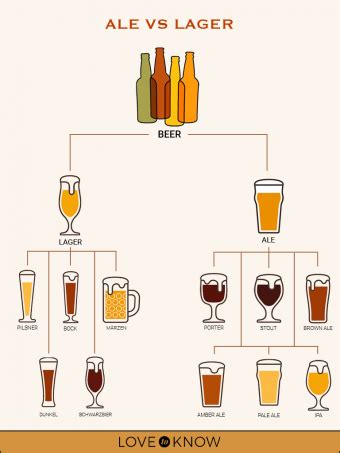 Differences Between Ale, Lager and Beer: Know Your Brew | LoveToKnow