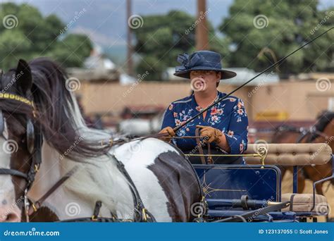 Carriage Driving Competition Editorial Image - Image of carriage ...