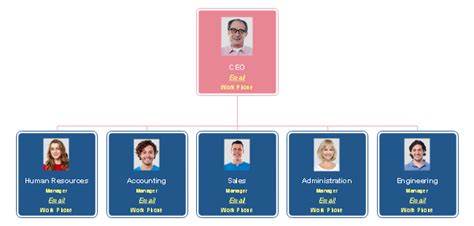 Functional Organizational Chart